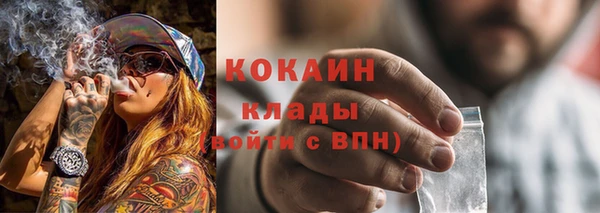 дживик Няндома