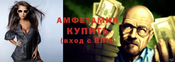 дживик Няндома