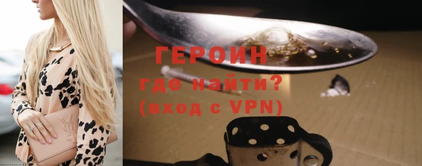 дживик Няндома