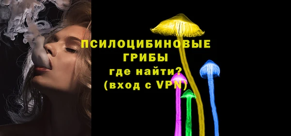 дживик Няндома