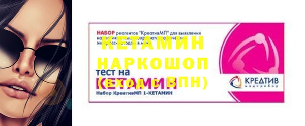дживик Няндома