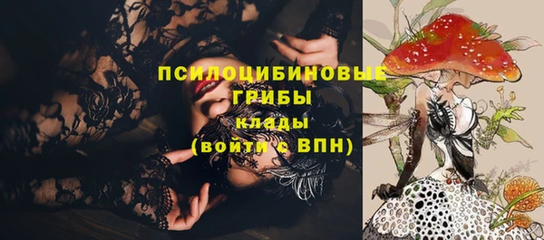 тгк Осташков
