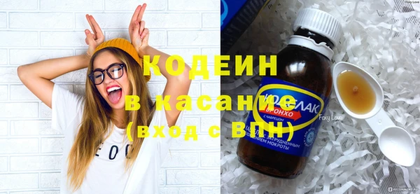 дживик Няндома