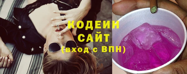 дживик Няндома