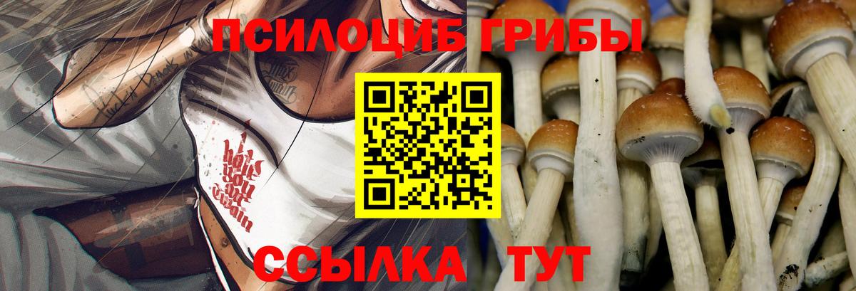 Галлюциногенные грибы мицелий  Вход с VPN  Киржач 