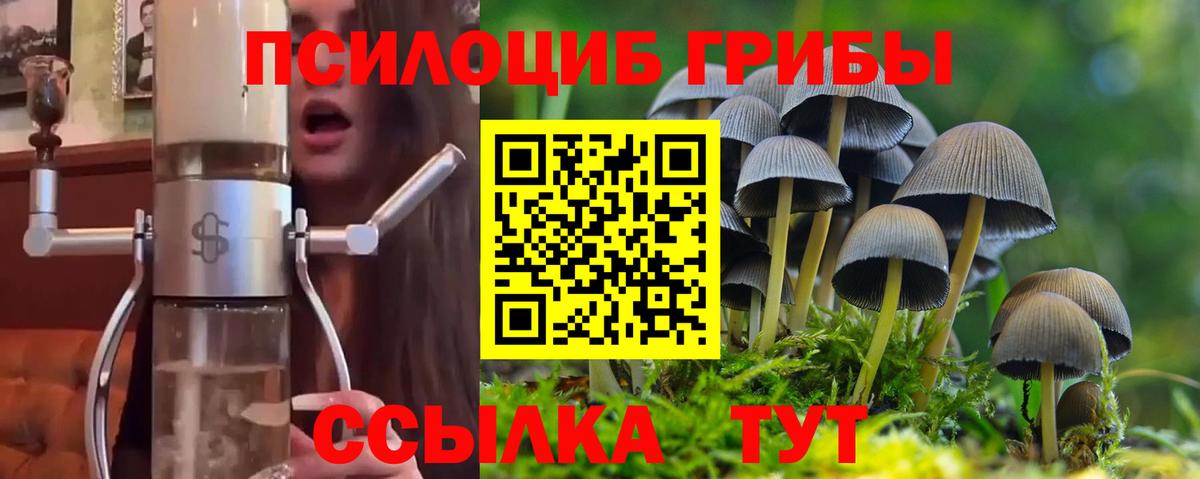 Псилоцибиновые грибы прущие грибы Киржач